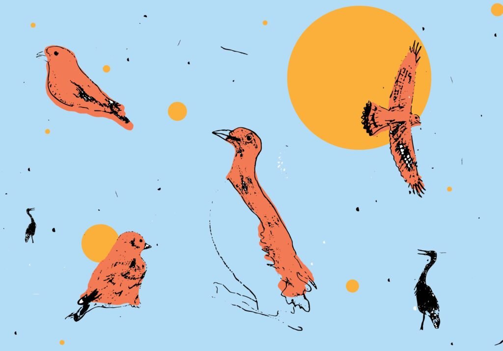 A graphic rendering of several different bird species.