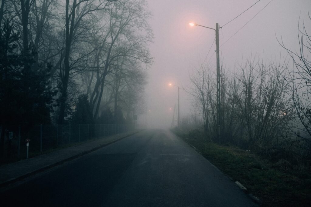 A deserted foggy road lined with bare trees and illuminated by street lamps at night.